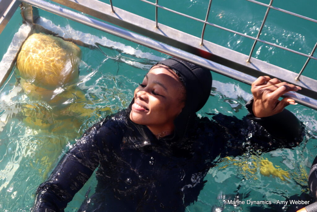 Shark cage diving. Gansbaai, South Africa