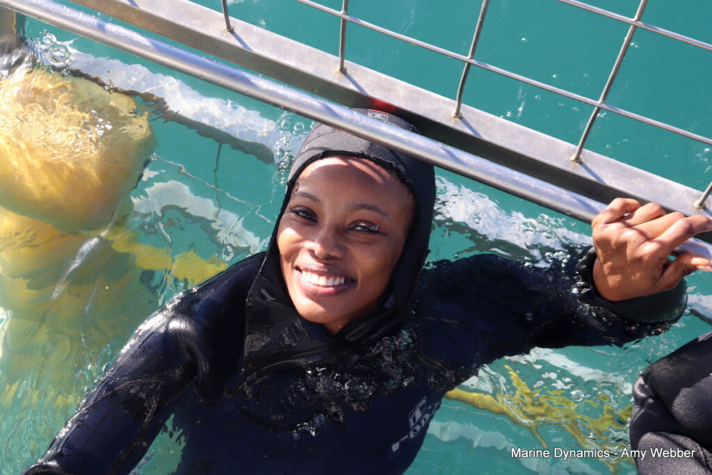 Shark cage diving. Gansbaai, South Africa
