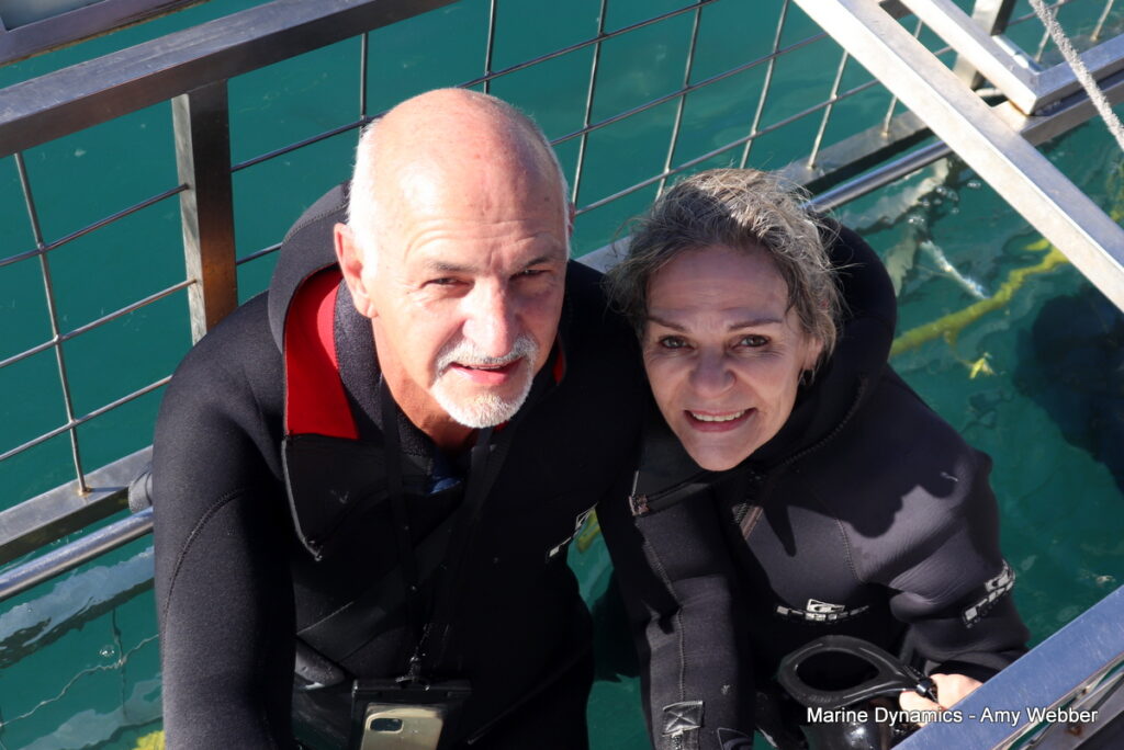 Shark cage diving. Gansbaai, South Africa