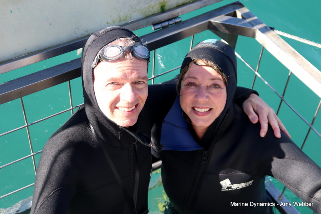Shark cage diving. Gansbaai, South Africa
