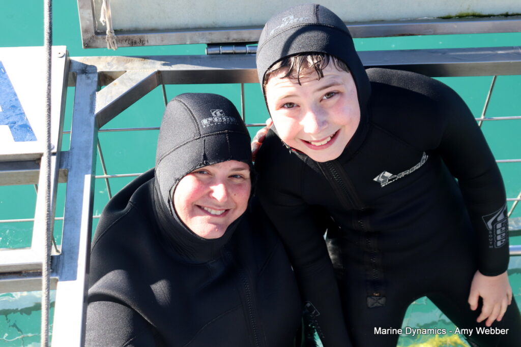 Shark cage diving. Gansbaai, South Africa