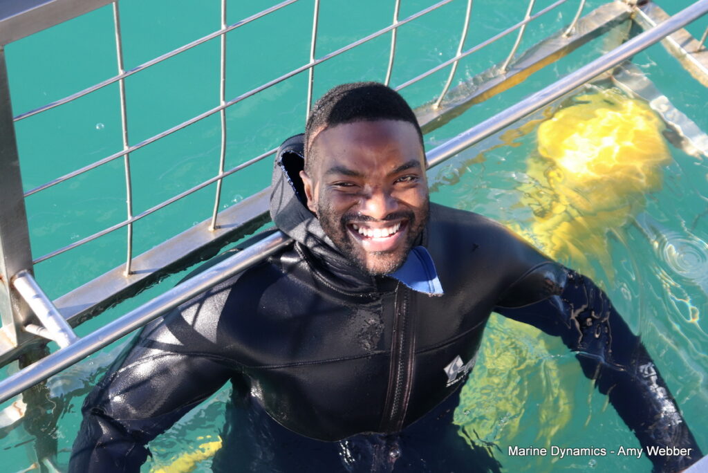 Shark cage diving. Gansbaai, South Africa