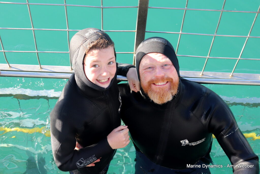 Shark cage diving. Gansbaai, South Africa