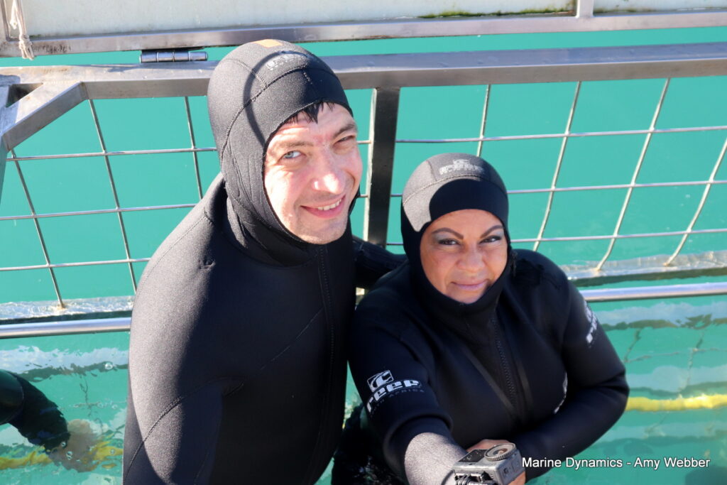 Shark cage diving. Gansbaai, South Africa