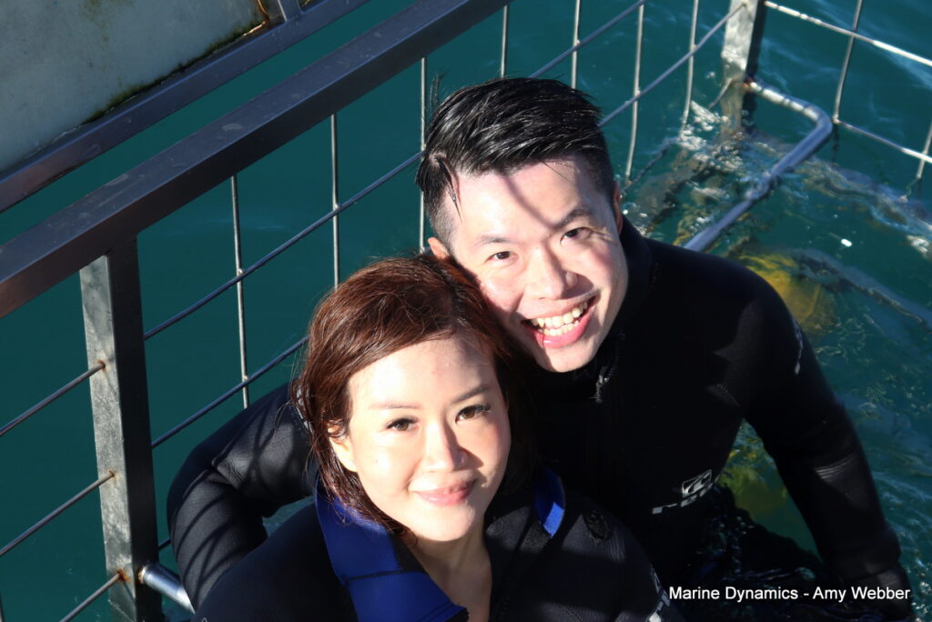 Shark cage diving. Gansbaai, South Africa