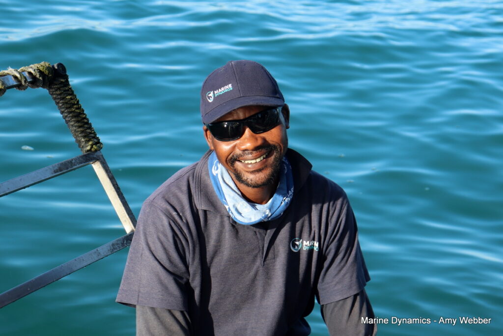 Shark cage diving. Gansbaai, South Africa