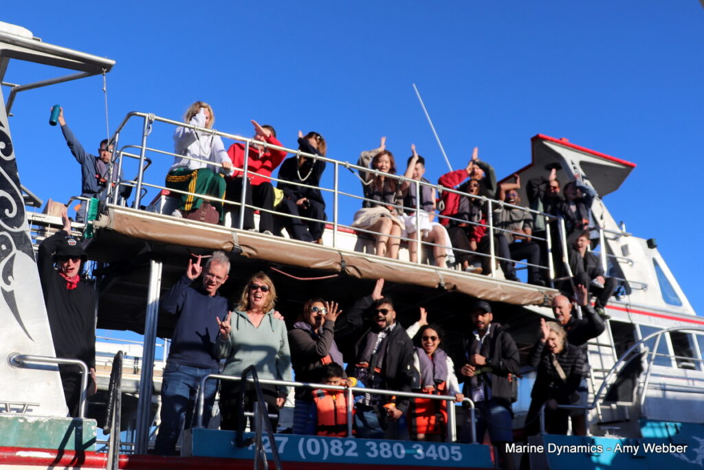 Shark cage diving. Gansbaai, South Africa