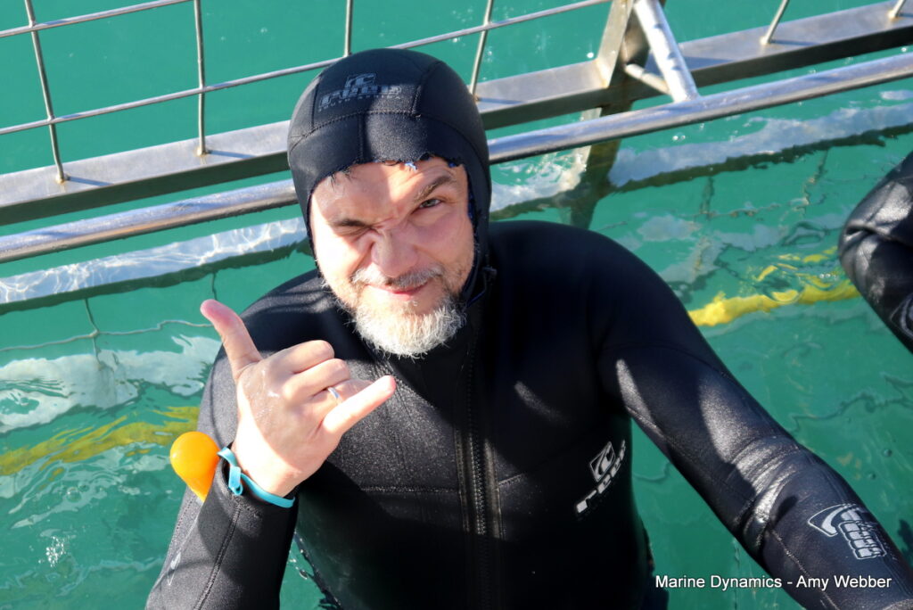 Shark cage diving, Gansbaai, South Africa