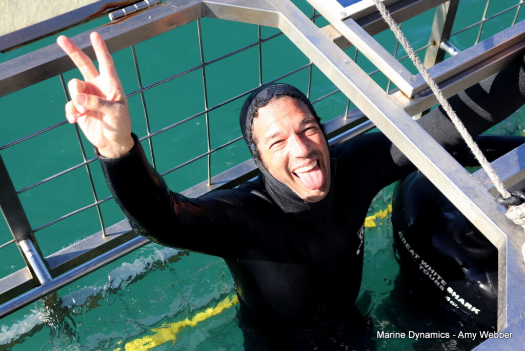 Shark cage diving, Gansbaai, South Africa