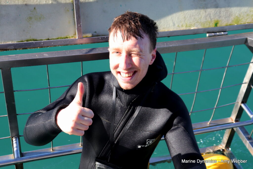 Shark cage diving, Gansbaai, South Africa