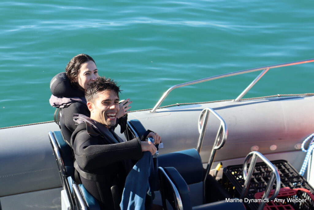 Shark cage diving, Gansbaai, South Africa
