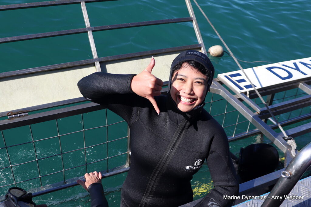 Shark cage diving, Gansbaai, South Africa