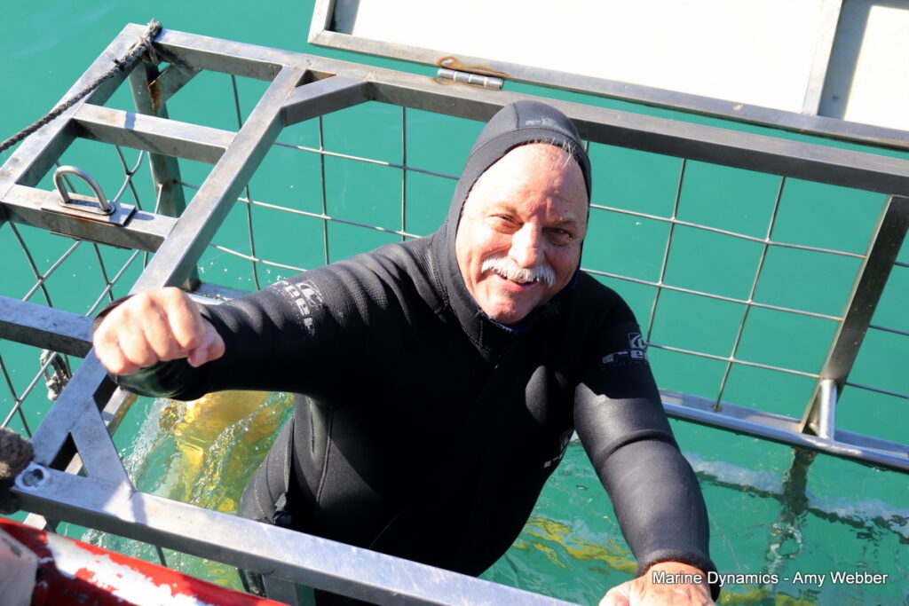 Shark cage diving, Gansbaai, South Africa