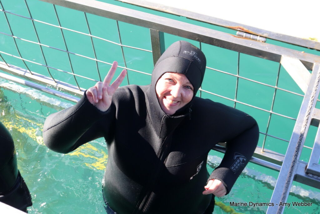 Shark cage diving, Gansbaai, South Africa