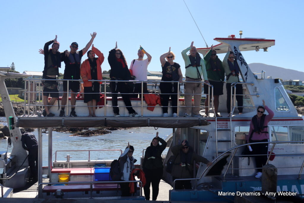 Shark cage diving, Gansbaai, South Africa