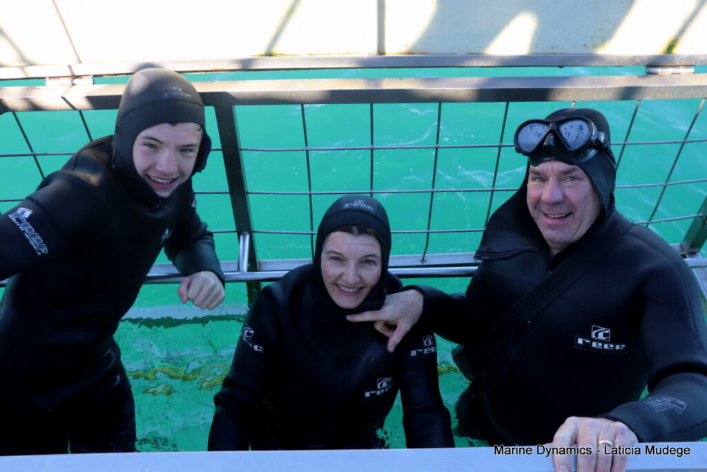 Shark cage diving, Gansbaai, South Africa