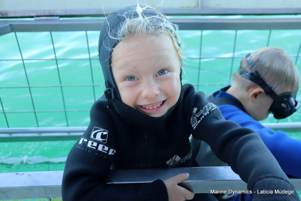 Shark cage diving, Gansbaai, South Africa