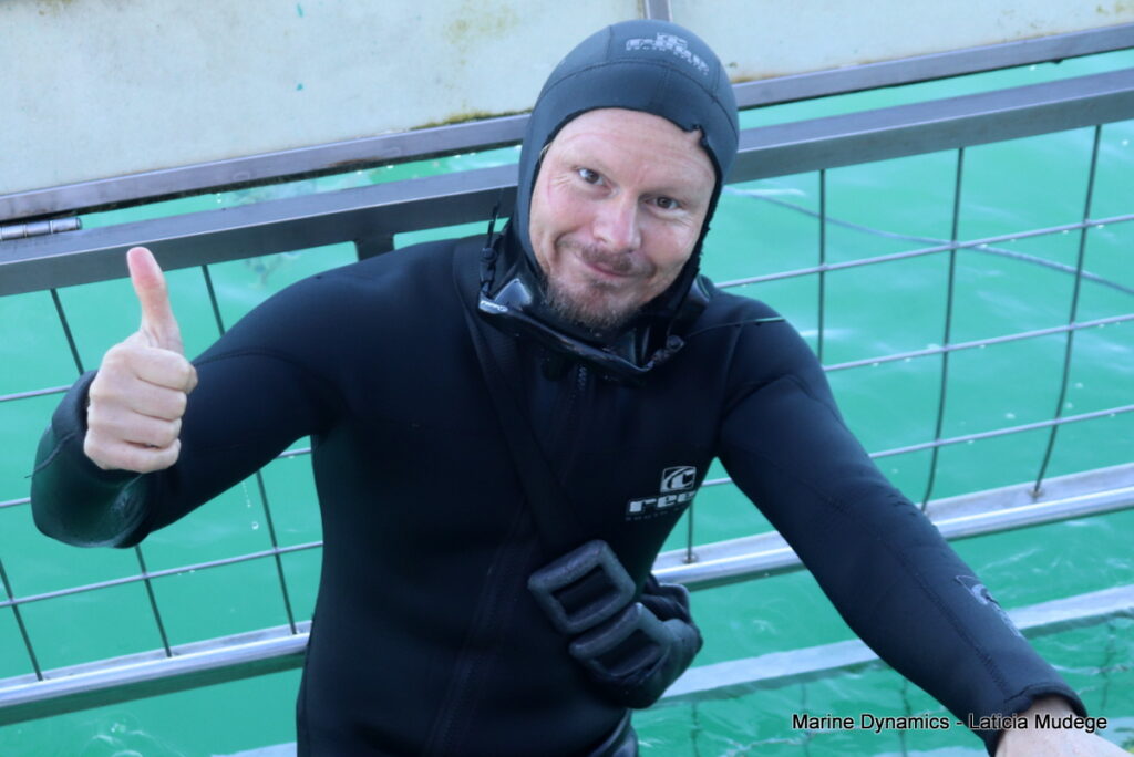 Shark cage diving, Gansbaai, South Africa
