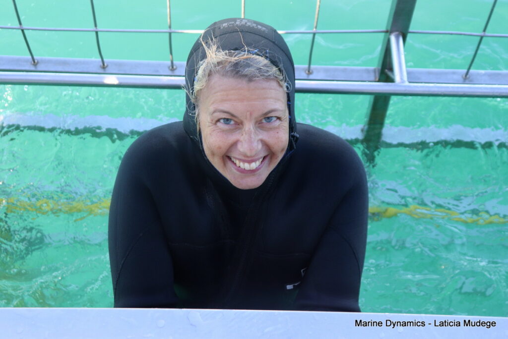 Shark cage diving, Gansbaai, South Africa
