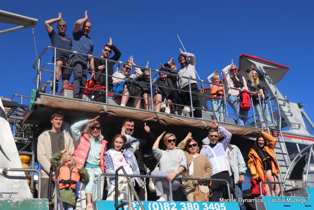 Shark cage diving, Gansbaai, South Africa
