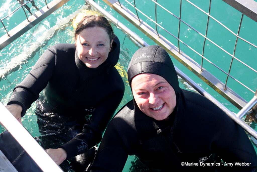 Shark cage diving, Gansbaai, South Afica