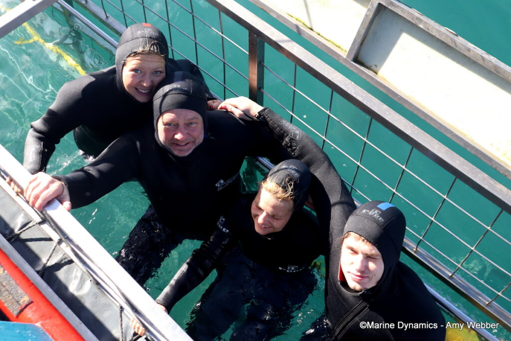 Shark cage diving, Gansbaai, South Afica