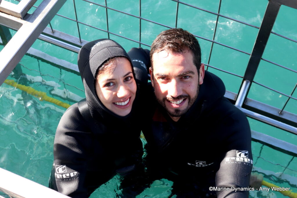 Shark cage diving, Gansbaai, South Afica