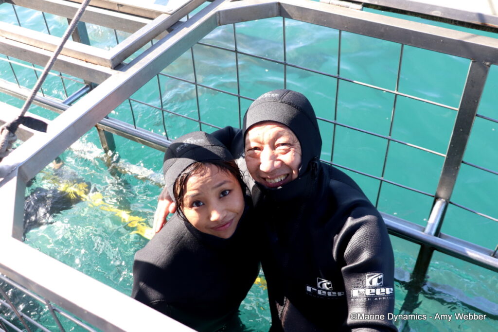 Shark cage diving, Gansbaai, South Afica