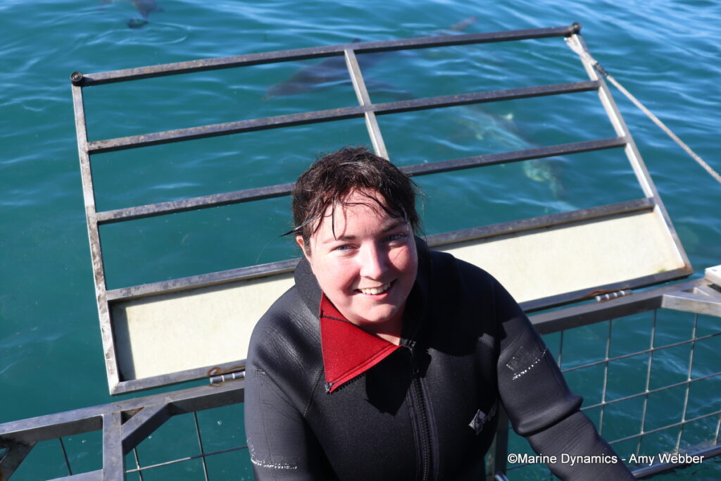 Shark cage diving, Gansbaai, South Afica