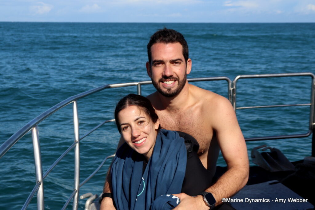 Shark cage diving, Gansbaai, South Afica