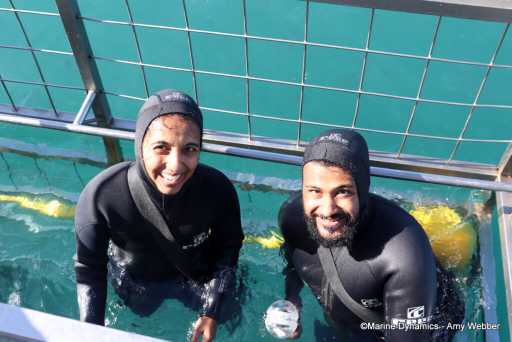 Shark cage diving, Gansbaai, South Afica