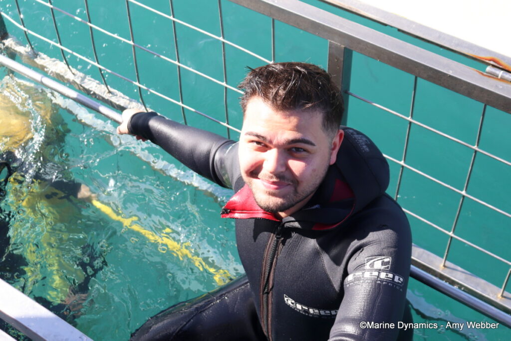 Shark cage diving, Gansbaai, South Afica