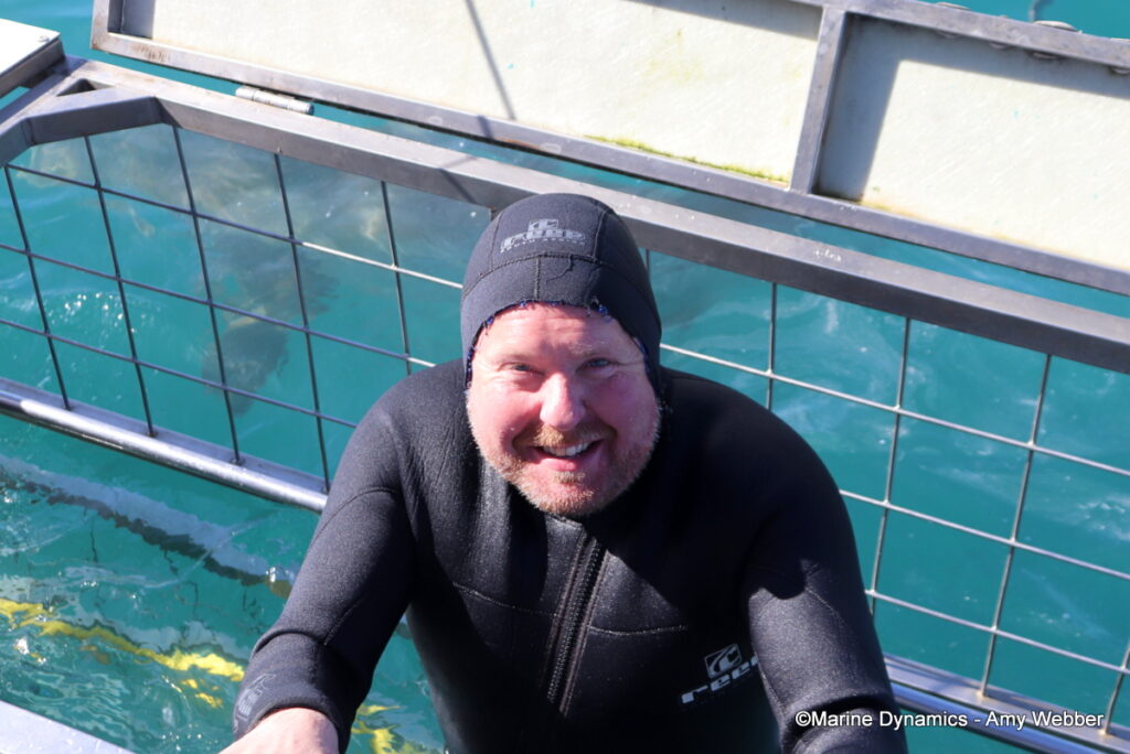 Shark cage diving, Gansbaai, South Afica