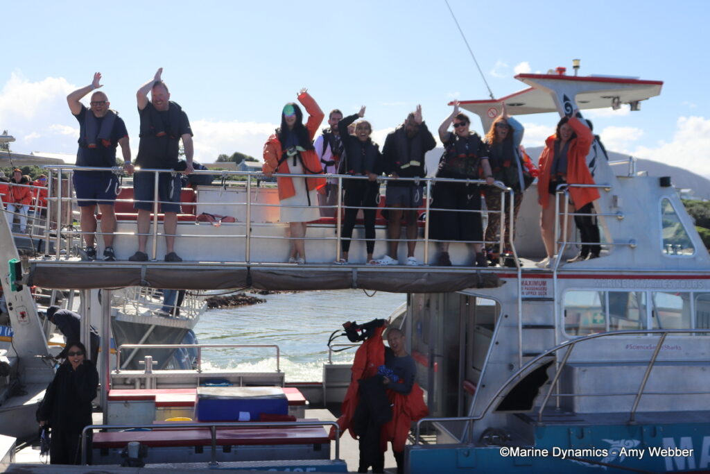 Shark cage diving, Gansbaai, South Afica
