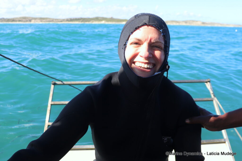 Shark cage diving, Gansbaai, South Afica