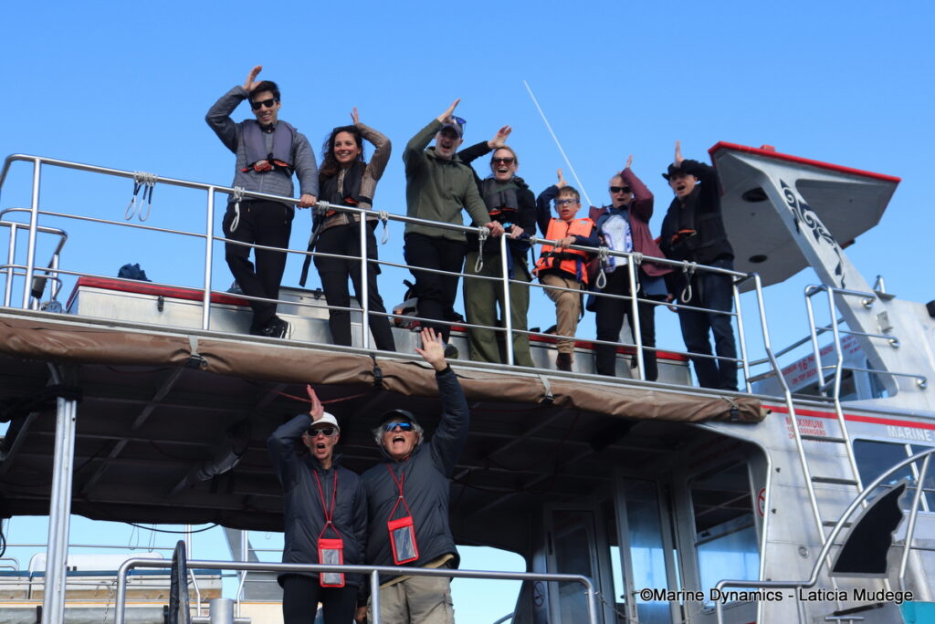 Shark cage diving, Gansbaai, South Afica