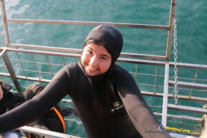 Shark cage diving, Gansbaai, South Africa