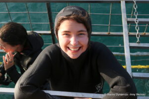 Shark cage diving, Gansbaai, South Africa