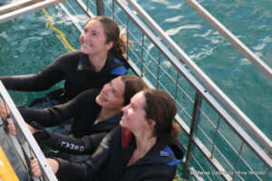 Shark cage diving, Gansbaai, South Africa