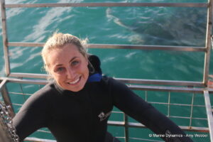 Shark cage diving, Gansbaai, South Africa