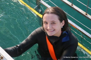 Shark cage diving, Gansbaai, South Africa