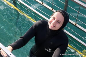 Shark cage diving, Gansbaai, South Africa