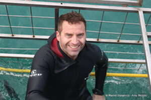 Shark cage diving, Gansbaai, South Africa