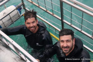 Shark cage diving, Gansbaai, South Africa