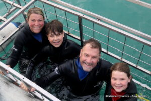 Shark cage diving, Gansbaai, South Africa