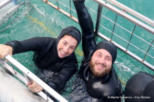 Shark cage diving, Gansbaai, South Africa