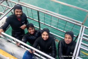 Shark cage diving, Gansbaai, South Africa