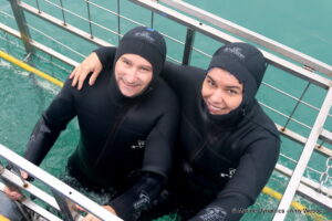 Shark cage diving, Gansbaai, South Africa