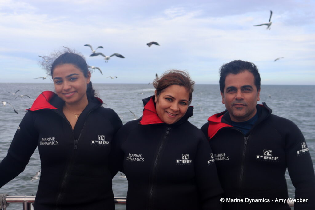 Shark cage diving, Ganbsaai, South Africa