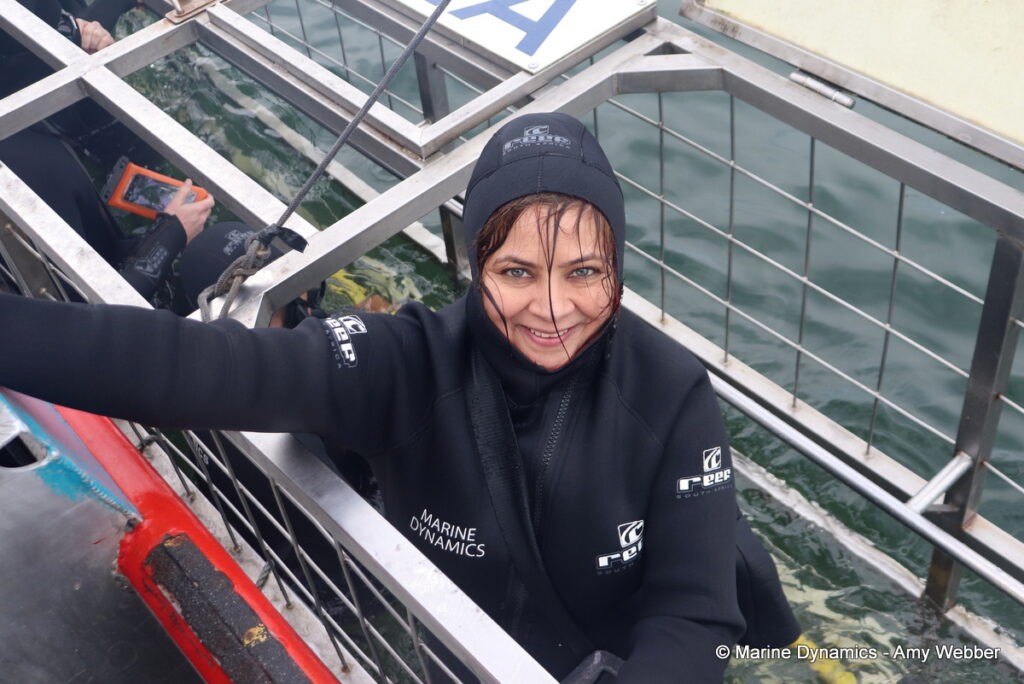 Shark cage diving, Ganbsaai, South Africa